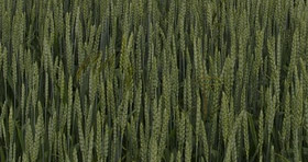 agribusiness